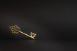 Golden vintage key on a black background highlighted with light horizontal photo