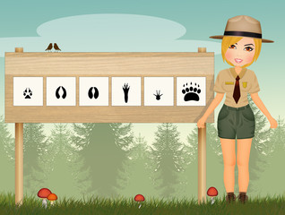 Wall Mural - forest ranger and footprints of wild animals