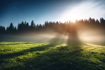 Wall Mural - misty summer night in the durmitor national park. location montenegro, europe.