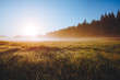 © Leonid Tit - Fantastic misty pasture in the sunlight. Locations place Durmitor National park, Montenegro.