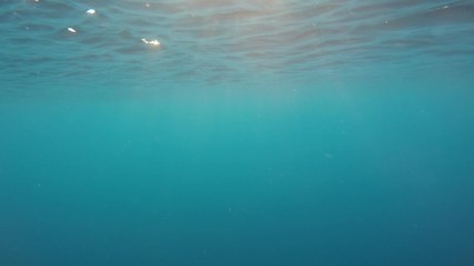 Canvas Print - Sunbeams in clear blue ocean underwater video