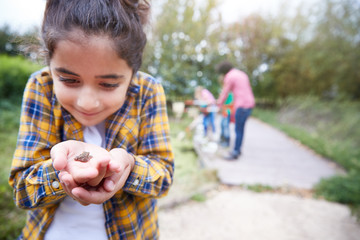 Girl Holding Small Frog As Group Of Children On Outdoor Activity Camp Catch And Study Pond Life