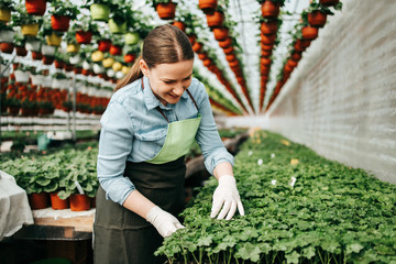 Happy and positive young adult woman working in greenhouse and enjoying in beautiful flowers.