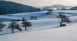 Winterlandschaft im Mittelgebirge mit Bäumen und Felder