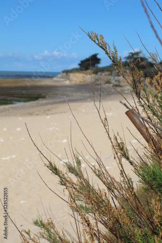 Cuadros en Lienzo Jolie plage de sable fin a maree basse a Sainte-Marie de Re, Ile de Re