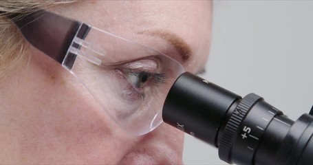 Wall Mural - close-up of woman scientist using microscope in a laboratory.