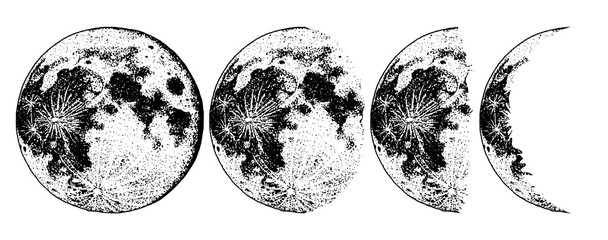 Wall Mural - moon phases planets in solar system. astrology or astronomical galaxy space. orbit or circle. engrav