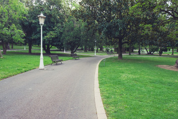 Wall Mural - Green city park. Spring time nature park landscape