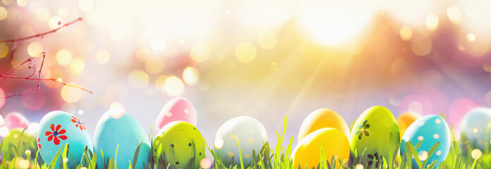 easter eggs with fresh green grass and sun