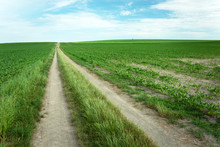 A Long Dirt Road Between Fields, Horizon And Clouds On A Blue Sky