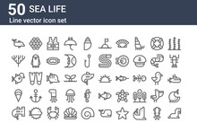 Set Of 50 Sea Life Icons. Outline Thin Line Icons Such As Sea Lion, Shark, Clam, Anglerfish, Coral, Caviar, Sea Urchin