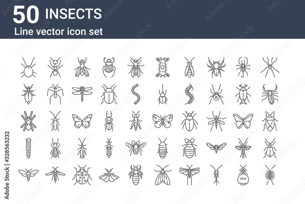 set of 50 insects icons. outline thin line icons such as centipede, bug, caterpillar, tarantula, leaf insect, ant, butterfly - obrazy, fototapety, plakaty 