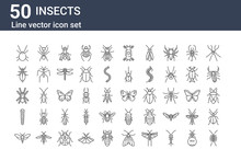 Set Of 50 Insects Icons. Outline Thin Line Icons Such As Centipede, Bug, Caterpillar, Tarantula, Leaf Insect, Ant, Butterfly