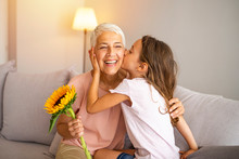 Little Preschool Granddaughter Kissing Happy Older Grandma On Cheek Giving Violet Flowers Bouquet Congratulating Smiling Senior Grandmother With Birthday, Celebrating Mothers Day Or 8 March Concept