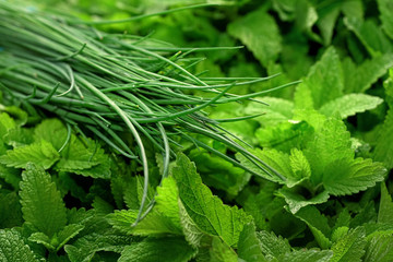 Chives and mint leaves herbs displayed on food market, closeup detail