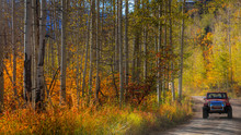 Autumn Landscape Near Marble Dirt Road Leading To Old  Crystal Mill.