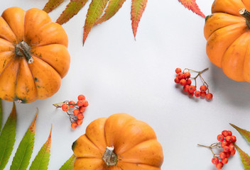 Canvas Print - Pumpkins. Autumn concept.