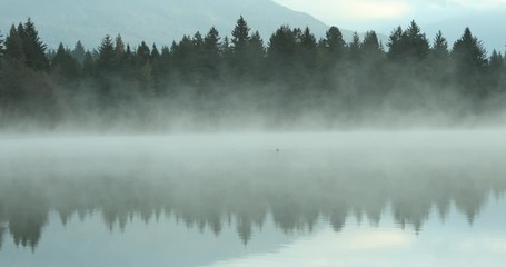 rolling fog over calm lake in whistler, canada.