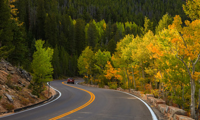 Wall Mural - scenic trail ridge road in rocky mountain national park, colorado
