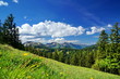Berggipfel und Frühling in den Alpen, Bayern