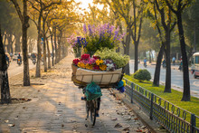 Flower Basket On Bike Of Street Vendor On Hanoi Street. Yellow Leaf Trees. Autumn Or Winter Season