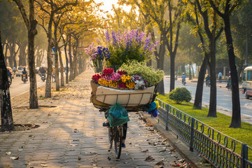 Flower basket on bike of street vendor on Hanoi street. Yellow leaf trees. Autumn or winter season