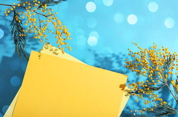 Mimosa flowers and two a yellow sheets of paper on a blue background, hard shadow. Spring flowers, easter background. Layout for design, top view.