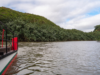 Wall Mural - Wailua River Cruise & Grotto Tour takes you on a cruise down the Wailua River to the botanical beauty of Fern Grotto plus a romantic visit to Opaekaa Falls on Kauai, Hawaii.