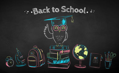 Wall Mural - chalk drawn poster of education symbols
