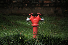 Red Fire Hydrant In The Garden