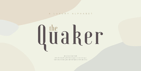 Elegant alphabet letters font and number. Classic Lettering Minimal Fashion Designs. Typography fonts uppercase and lowercase. vector illustration