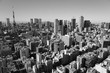 東京　2020年 景色　展望　展望台　俯瞰　遠景　昼間　快晴　青空　白黒　モノクロ