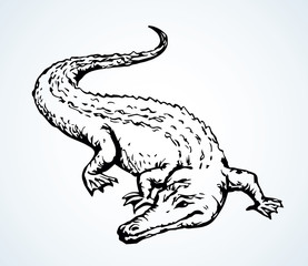Canvas Print - Crocodile. Vector drawing animal icon