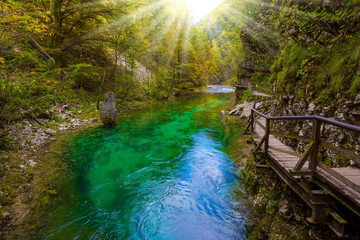 Poster - Sun illuminates the river with azure water