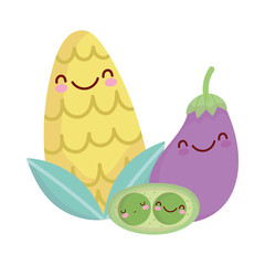 Poster - corn eggplant and peas menu character cartoon food cute