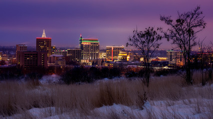 Wall Mural - Unique view of the Boise skyline in the winter with foothills trees at night