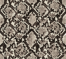 Snake Skin Pattern Design, Animal Print. Element For Your Design. Vector Illustration Background