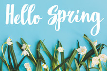 first-flowers-free-stock-photo-public-domain-pictures