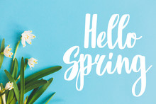 Hello Spring Text With First Spring Flowers On Blue Background, Flat Lay. Stylish Floral Greeting Card Or Poster Template. Springtime. Floral  Border Of Spring Snowflake
