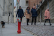 walking the city with the dog, red fire hydrant and fire protection