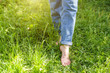 © Юлия Завалишина - Two beautiful female feet walking on grass in sunny summer morning. Light step barefoot girl legs on soft spring lawn in garden or park. Healthy freedom relax concept.