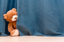 Kids Toy Brown Funny Teddy Bear Peeks Out From Behind The Blue Curtain