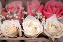Fresh White And Pink Hybrid Tea Rose Flowers And White Baby's Breath (Gypsophila) Displayed In An Egg Carton