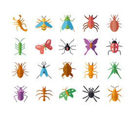 Poster - bugs and insect icon set, flat style