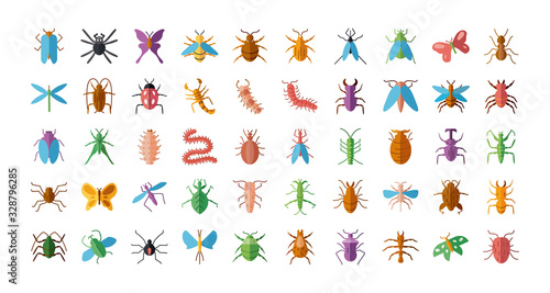 bugs and insect icon set, flat style Poster Mural XXL