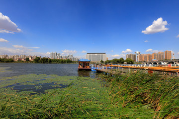 Poster - Waterfront Park Architectural Scenery, China