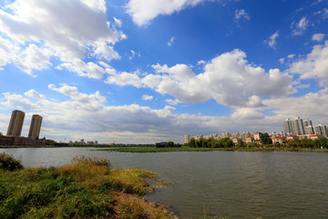 Wall Mural - Waterfront Park Architectural Scenery, China