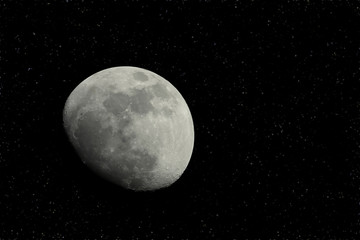 Wall Mural - half moon view from space in night sky. (elements of this image furnished by nasa.)