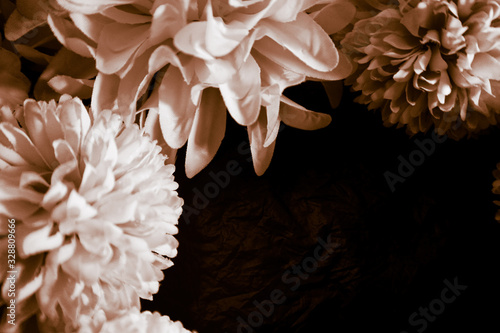 Beautiful abstract color black and yellow flowers on black background and gold flower frame and brown leaves texture, dark background, orange and gold love banner