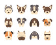 set of icons of faces different breeds of dogs